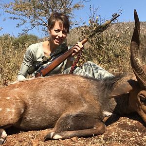 South Africa Hunting Bushbuck