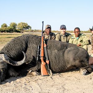 Cape Buffalo Hunt Namibia