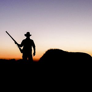 Hunting Buffalo in Namibia