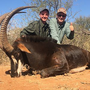 South Africa Hunt Sable Antelope