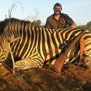 Hunt Burchell's Plain Zebra in South Africa