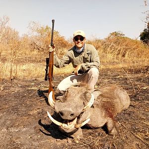 Warthog Hunt Tanzania