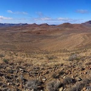 South Africa Hunting Area