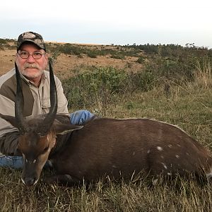 Hunt Bushbuck in South Africa