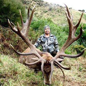 Hunt Red Stag in New Zealand