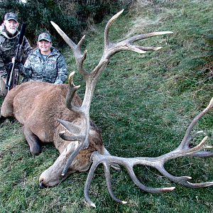 New Zealand Hunt Boar