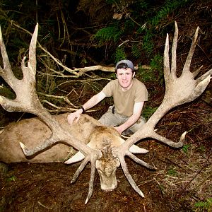 Hunting Red Stag in New Zealand