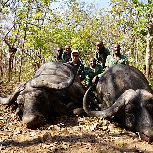 Cape Buffalo Hunt Tanzania