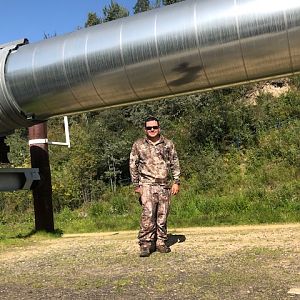 Alaska USA Hunting Caribou