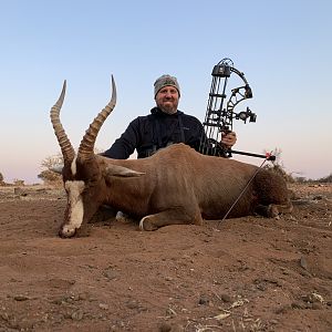 Blesbok Bow Hunt South Africa