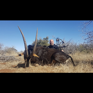 Bow Hunting Sable Antelope in South Africa