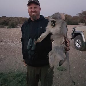 Vervet Monkey Bow Hunting South Africa