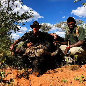 Cape Buffalo Hunting Namibia