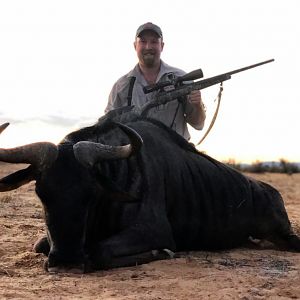 Hunt Blue Wildebeest in Namibia