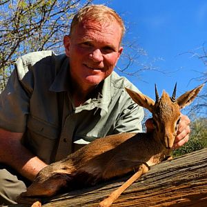 Hunt Damara Dik-dik in Namibia