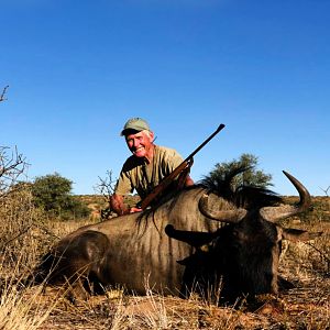 Namibia Hunt Blue Wildebeest