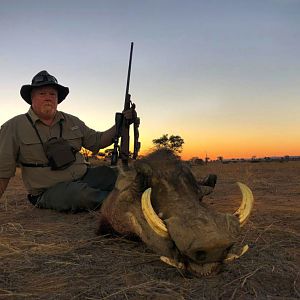 Warthog Hunting Namibia