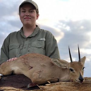 Steenbok Hunt Namibia