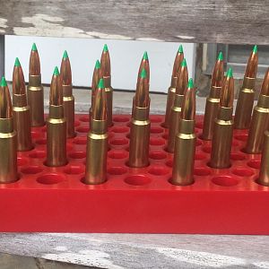 .309 JDJ handloads