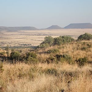 South Africa Hunt