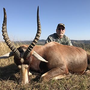 Hunting Blesbok in South Africa