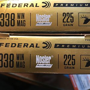 Federal 338 Win Mag Ammunition