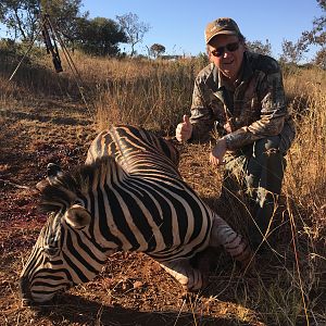 Burchell's Plain Zebra Hunting South Africa