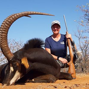 Sable Antelope Hunt South Africa