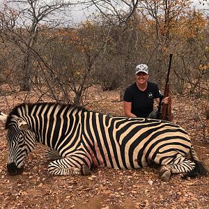 Hunt Burchell's Plain Zebra in South Africa