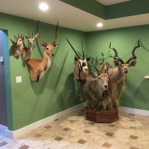 New Trophy Room