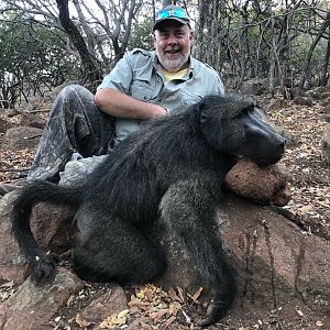 Baboon Hunting South Africa