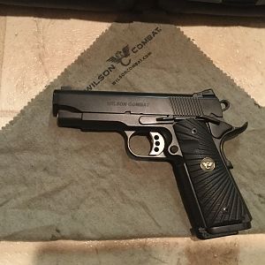 Wilson Combat Elite Professional in .45ACP Pistol