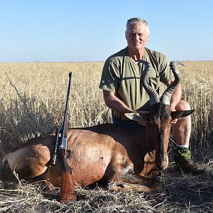 Red Hartebeest Hunting South Africa