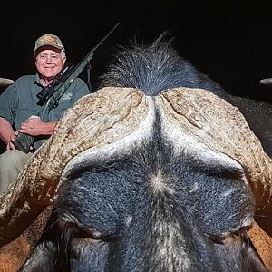 Hunting Buffalo in Namibia