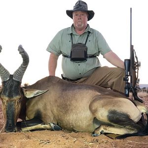 Red Hartebeest Hunt Namibia