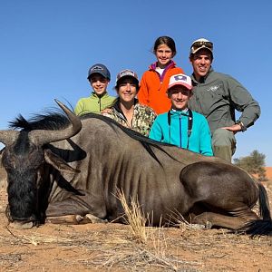 Blue Wildebeest Hunt Namibia