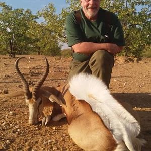 Namibia Hunt Springbok