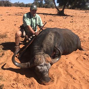 Cape Buffalo Hunting Namibia