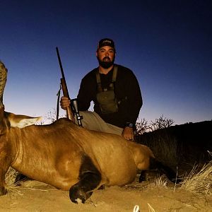 Namibia Hunt Red Hartebeest