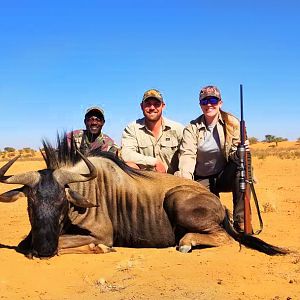 Blue Wildebeest Hunting Namibia