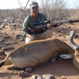 Hartebeest Namibia