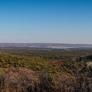 Hunting Area in South Africa