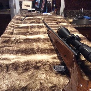 .300 Remington Ultra Magnum Rifle