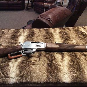 .45-70 Government Lever-Action Rifle