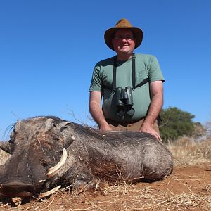 South Africa Hunt Warthog