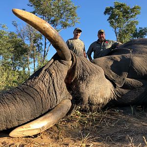 Elephant Hunting Zimbabwe