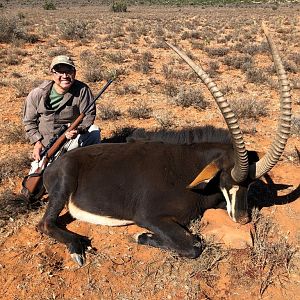 Hunting Sable in South Africa