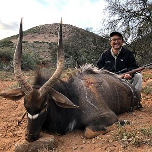 Hunt Nyala in South Africa