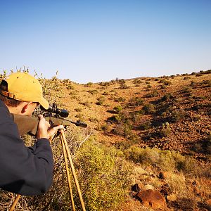 Kudu Hunt South Africa