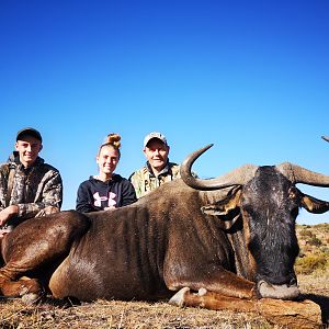 Hunt Blue Wildebeest in South Africa